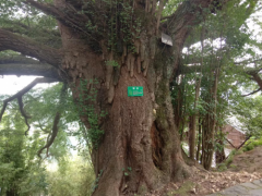 ϾΪʲôô,Ͼƿڸ,ϾƵ컷
